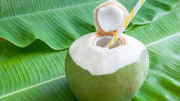 Kelapa Si Buah Seribu Manfaat