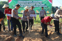Penanaman Jagung Serentak Kuartal III, Polres Pamekasan Wujudkan Ketahanan Pangan
