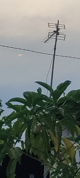 Penampakan Diduga Hilal di Arosbaya Bangkalan, Warga Tunggu Hasil Sidang Isbat Penentuan Lebaran