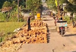 Hibah 300 Drum Aspal Tak Kunjung Terealisasi, Warga Tambelangan Sampang Perbaiki Jalan Secara Swadaya