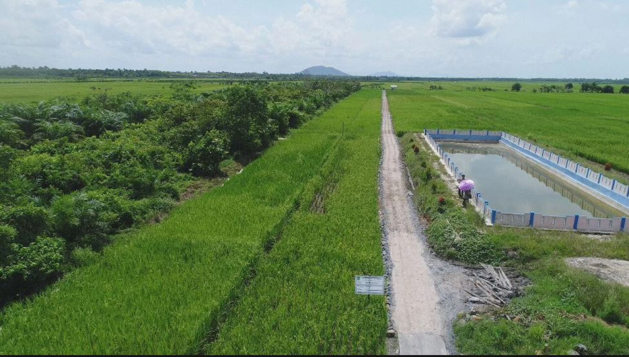 BMKG: Musim Kemarau 2024 di Jawa Timur Diprediksi Lebih Pendek