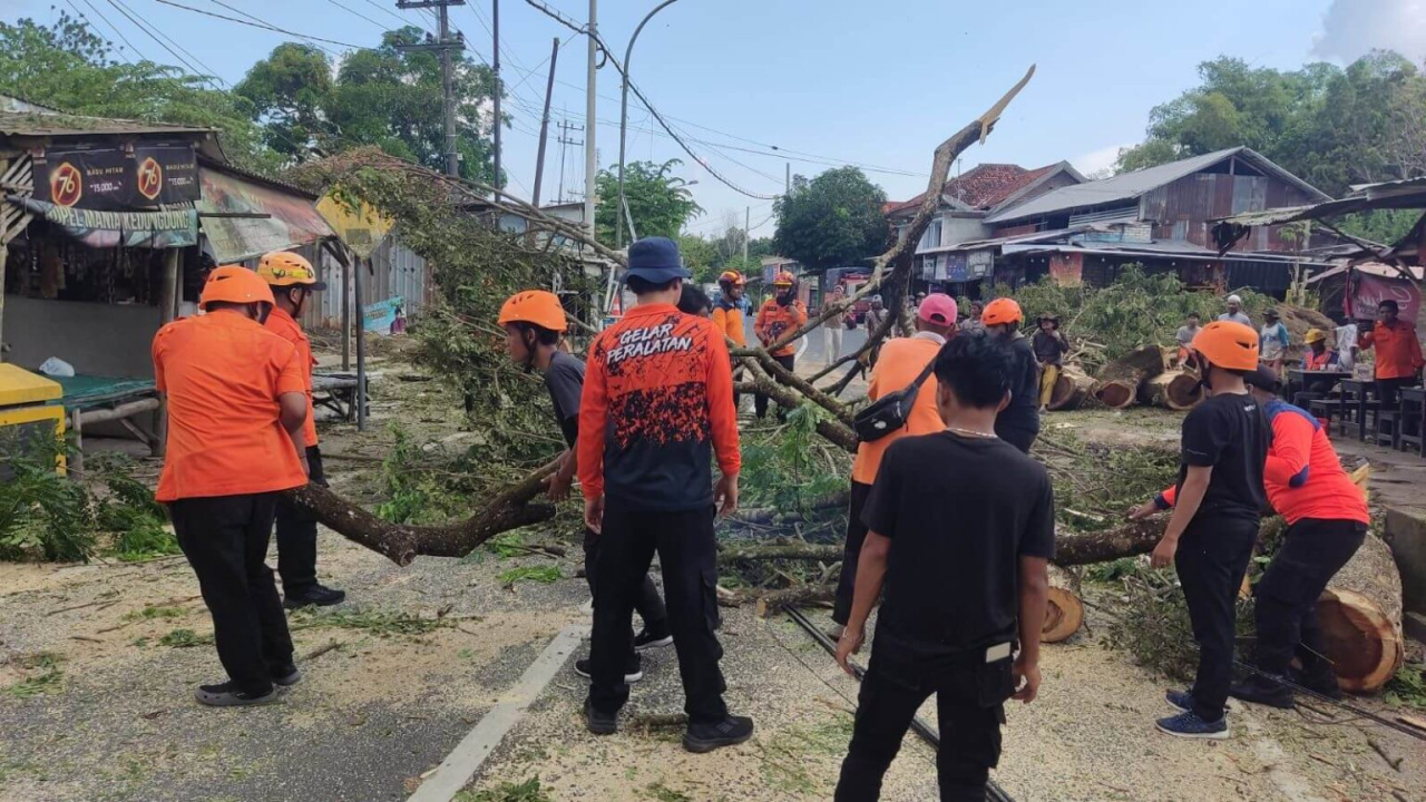Cegah Bahaya, BPBD Sampang Tindak Cepat Potensi Pohon Tumbang di Kedungdung
