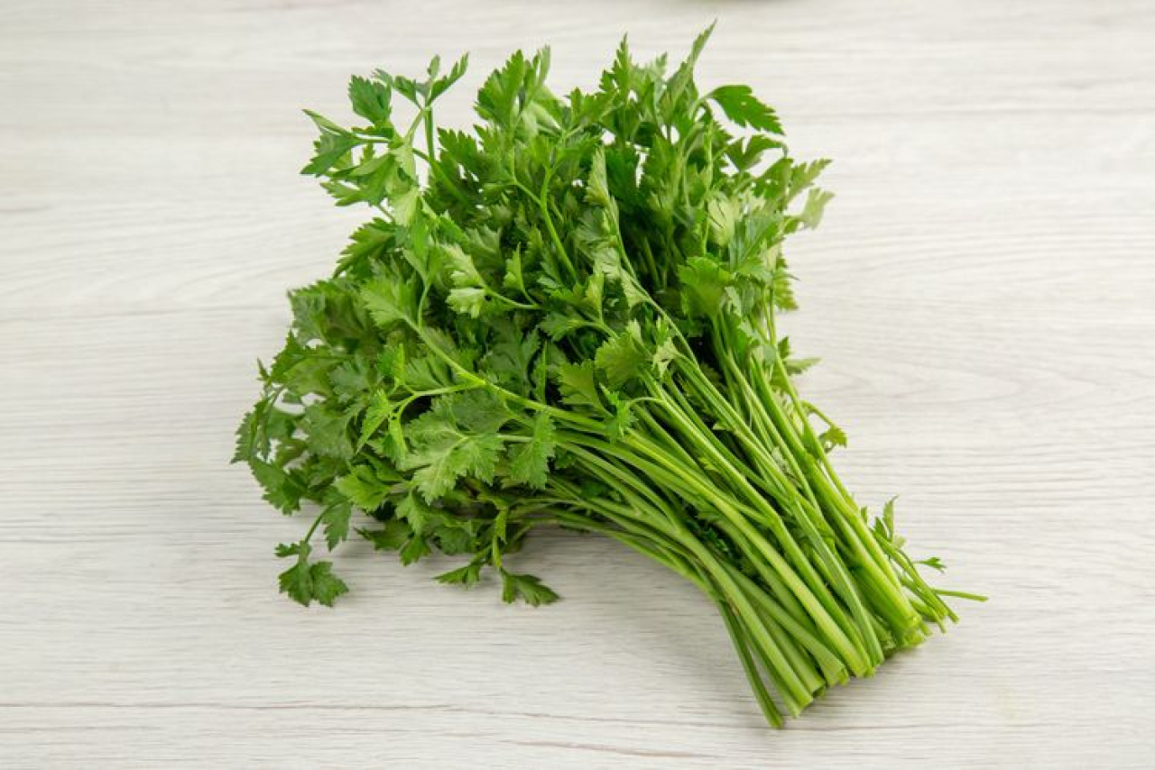 Resep dan Manfaat Daun Saladri untuk Kesehatan Tubuh